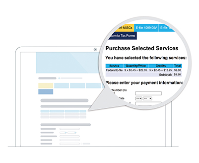 E-Services Pricing